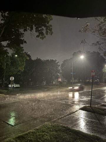 Champaign, 2025